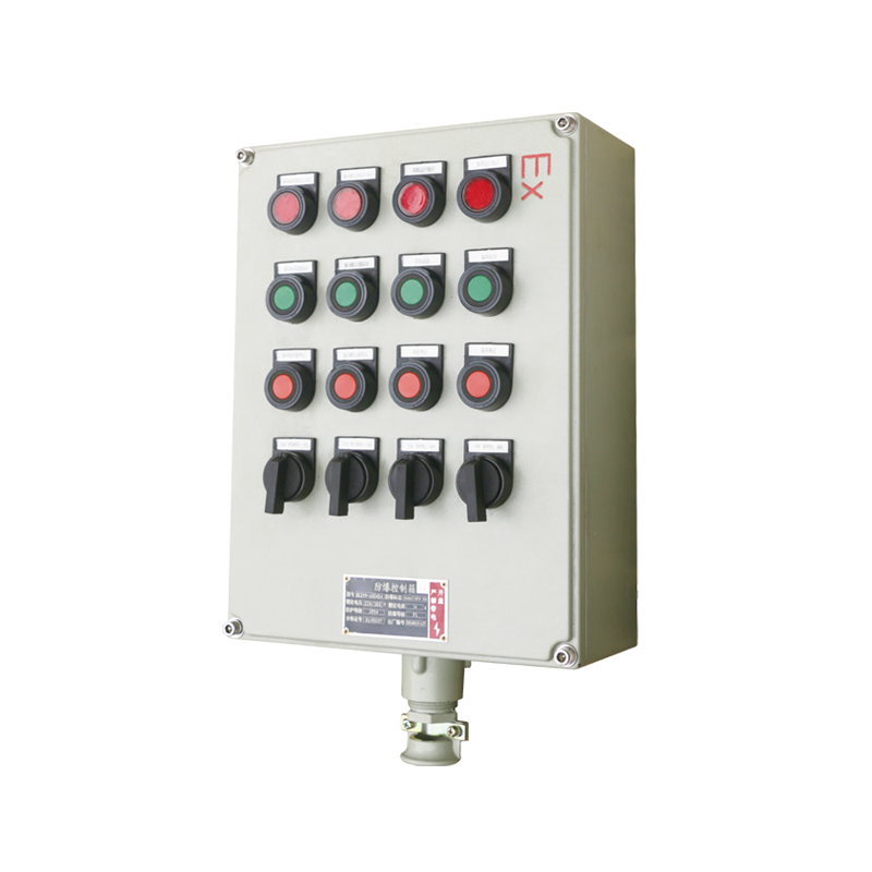 BXK系列防爆控制箱(lIB、IIC、DIP)